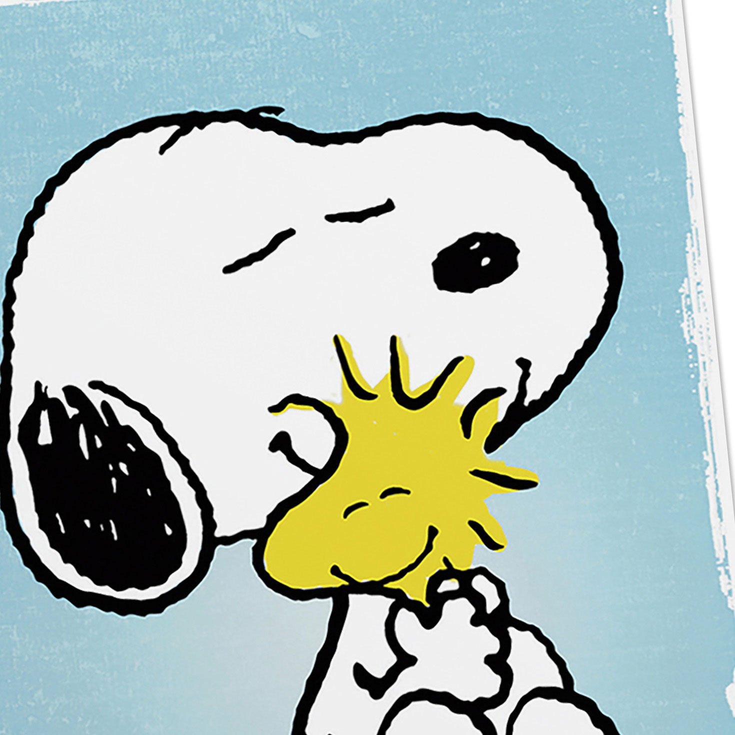 Peanuts DaySpring All Occasion Cards Assortment Cover Detail image number 5