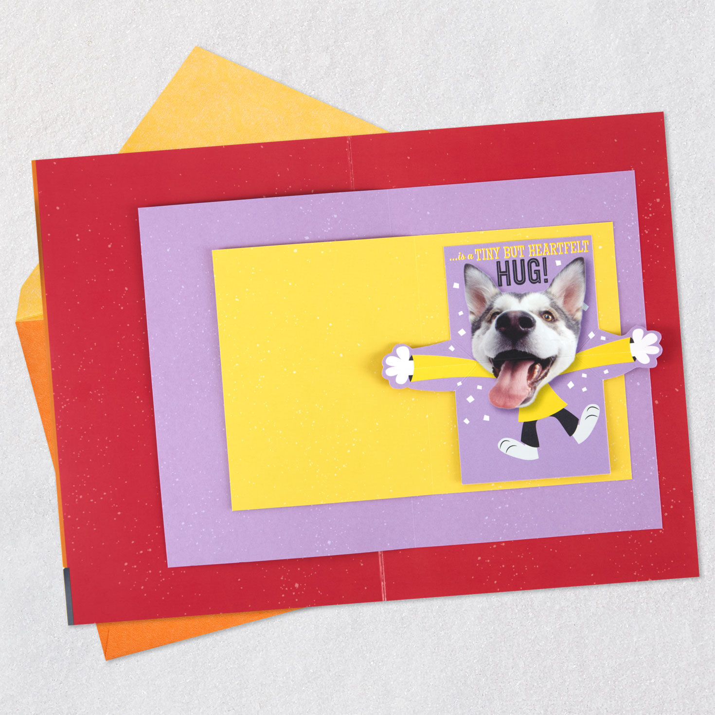 Dog With Lots of Wishes Birthday Card Open card with envelope image number 6
