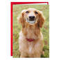 Smiling Dog Love You Funny Valentine's Day Card, , large image number 1