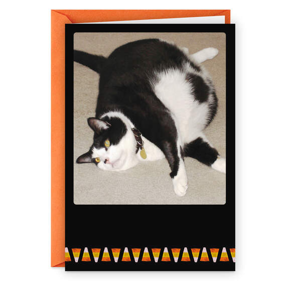 Fat Cat and Candy Corn Funny Halloween Card, , large image number 1