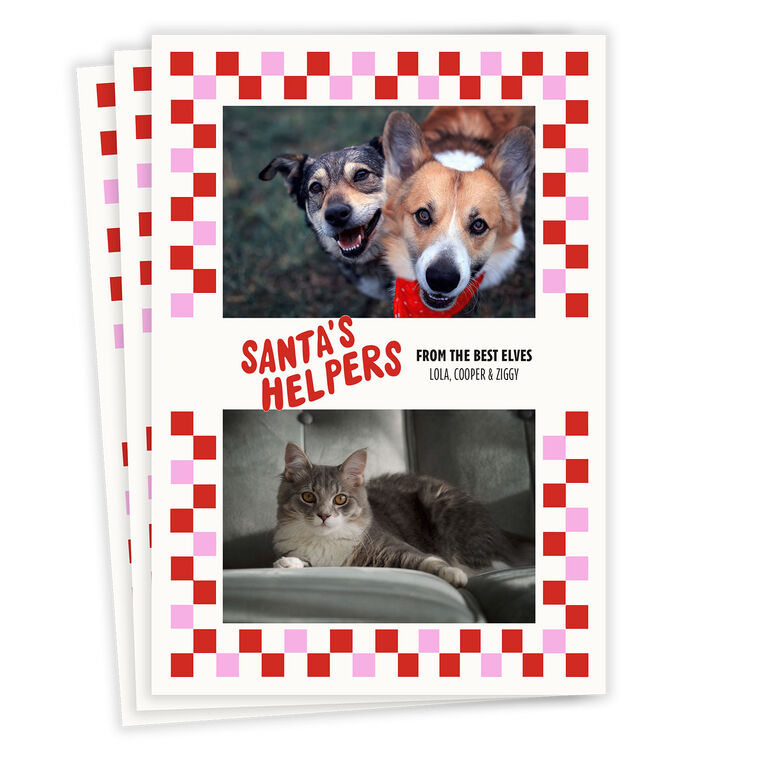 Santa's Helpers Flat Christmas Photo Card From Pet