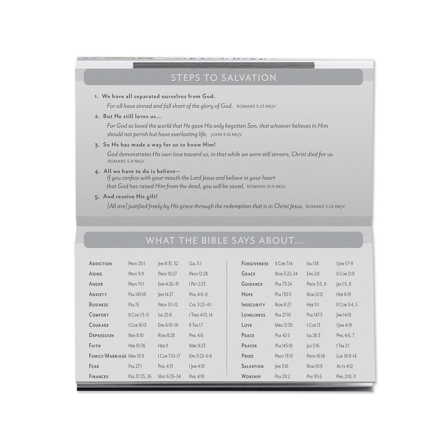 Max Lucado 2027 2028 2-Year Pocket Calendar open spread image number 3