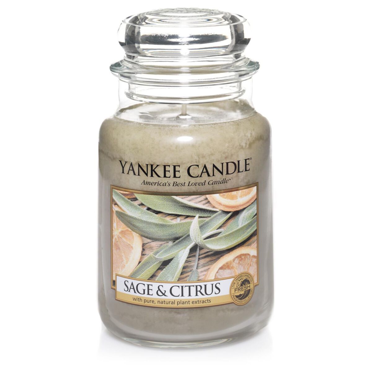 Sage & Citrus Reed Diffuser by Yankee Candle® Candles Hallmark