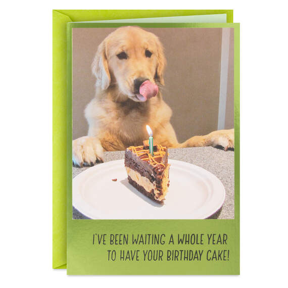 Dog Years Waiting for Cake Funny Birthday Card, , large image number 1