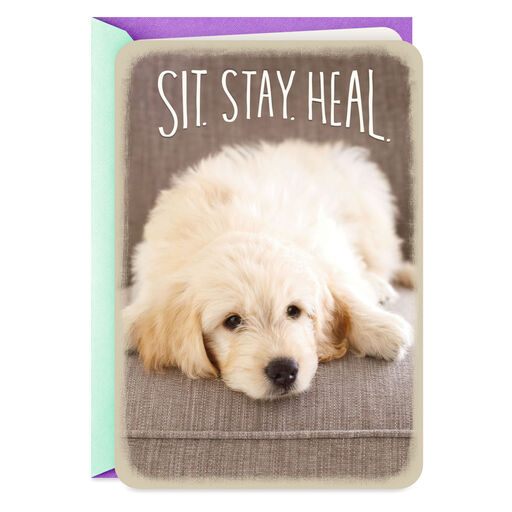 Sit, Stay, Heal Puppy Dog Get Well Card, 
