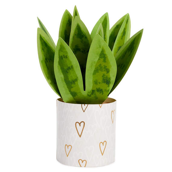 Happy Heart Day Snake Plant 3D Pop-Up Valentine's Day Card, , large image number 2