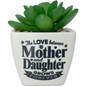 Faux Potted Succulent With Mom and Daughter Message, , large image number 1
