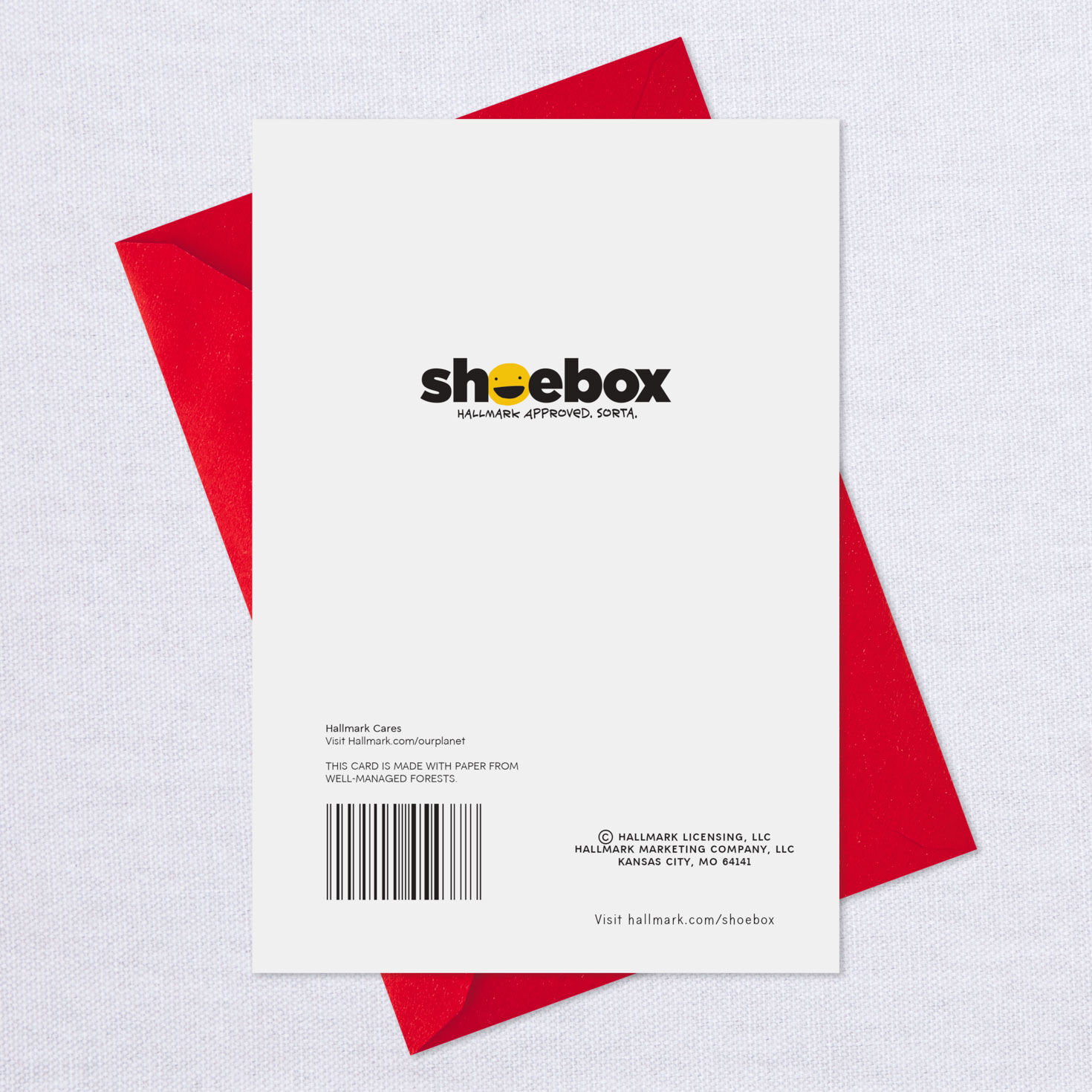 The Three Wise Cats Funny Christmas Card, , large image number 7