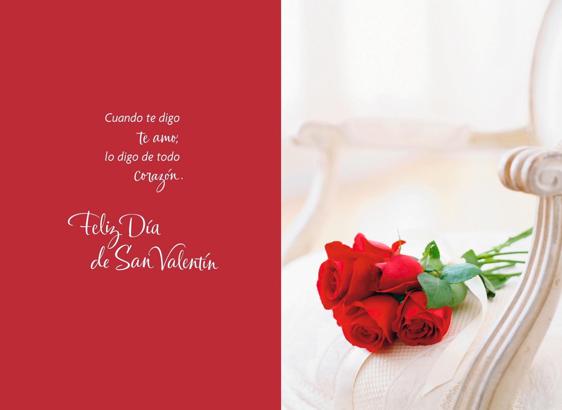 Wonderful Moments Spanish Valentine's Day Card