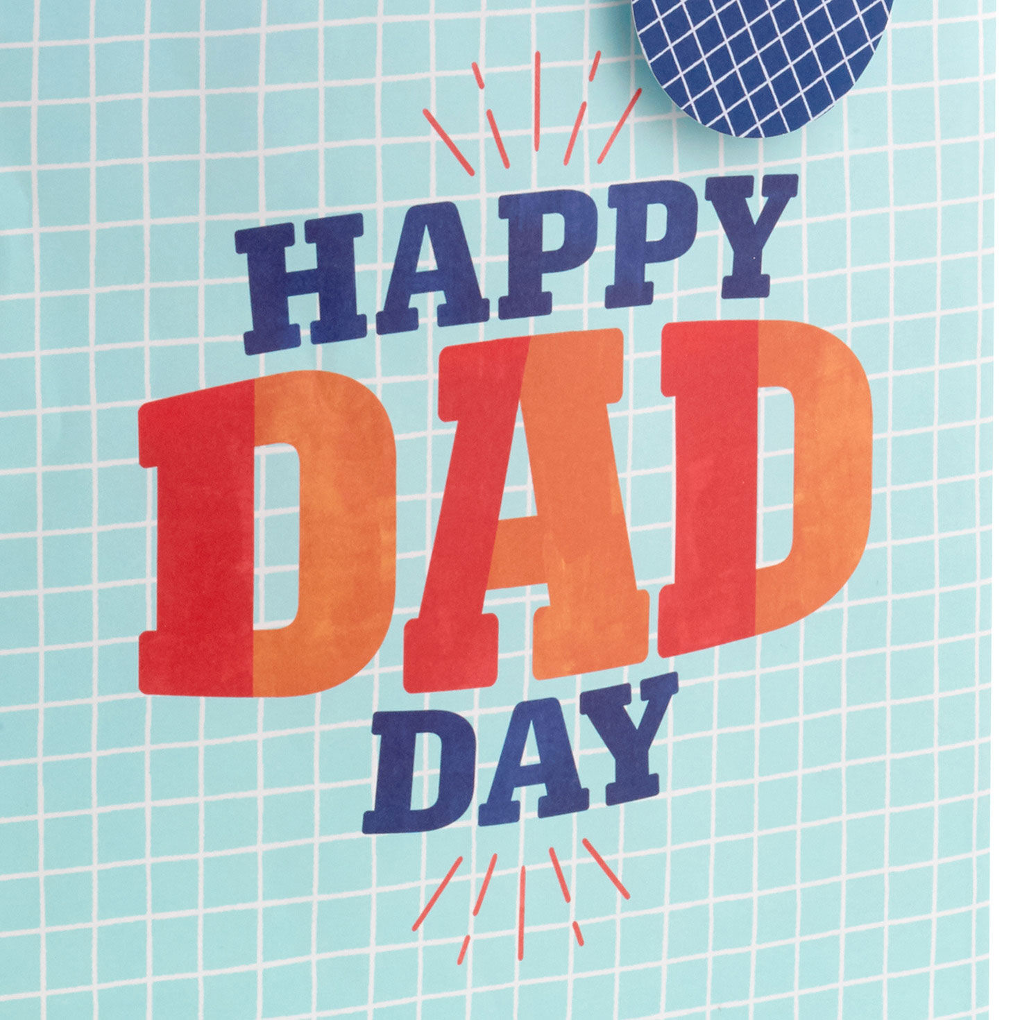 Blue Grid Large Father's Day Gift Bag With Tissue Base/Side Detail image number 5