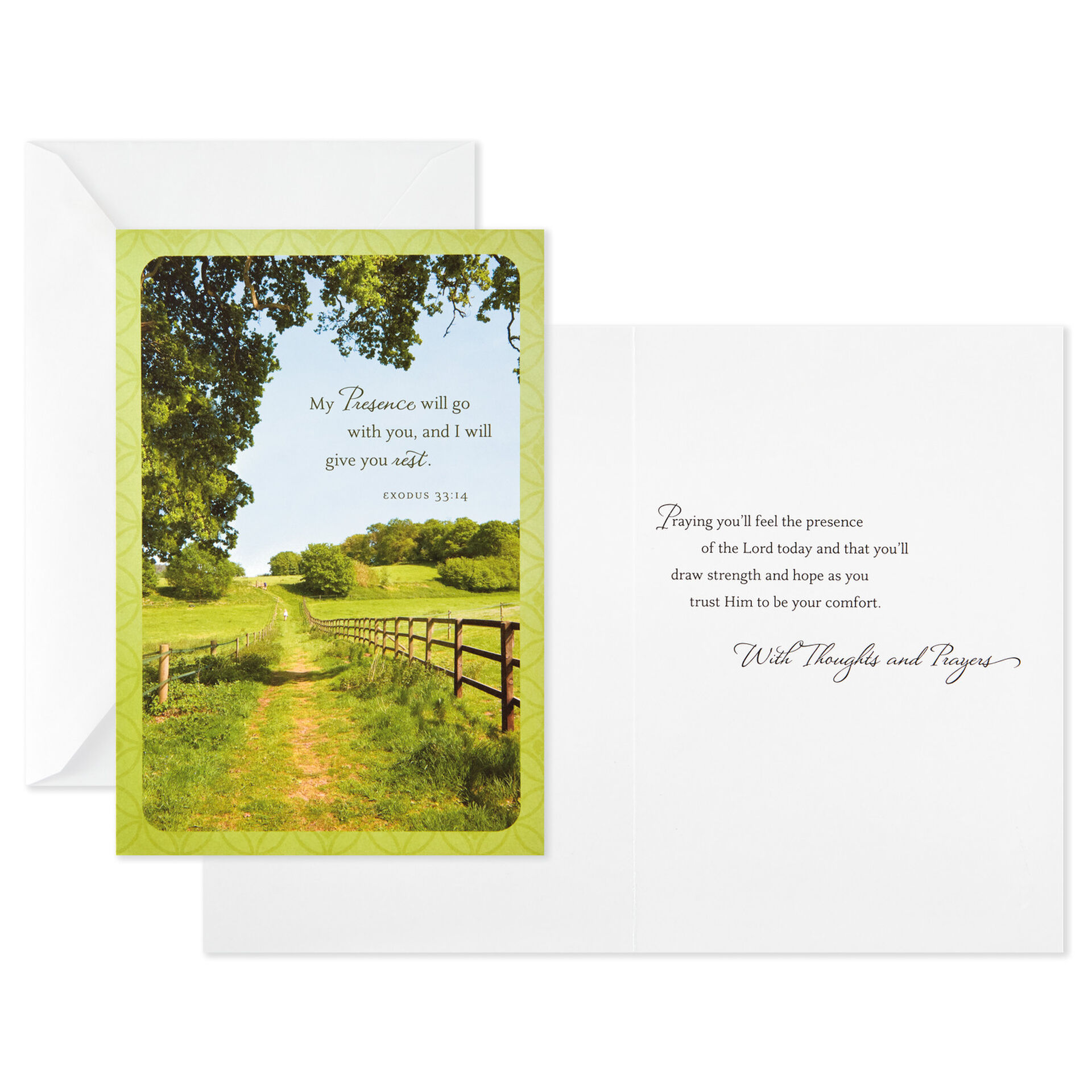 Nature Photos Assorted Religious Sympathy Cards, Box of 12 Boxed