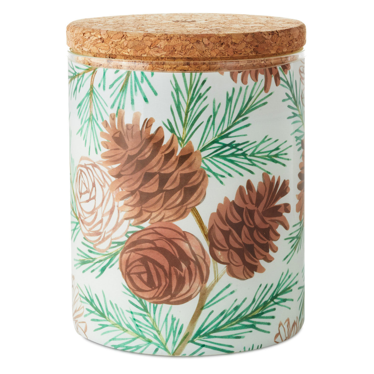 Pine and Birch Scented 2-Wick Jar Candle, 14.5 oz., , large image number 1
