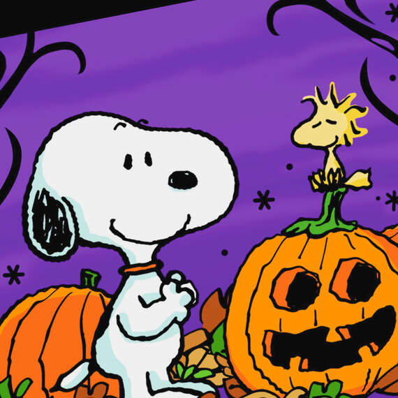 Peanuts® Snoopy and Woodstock With Pumpkins Halloween Card, , large image number 4