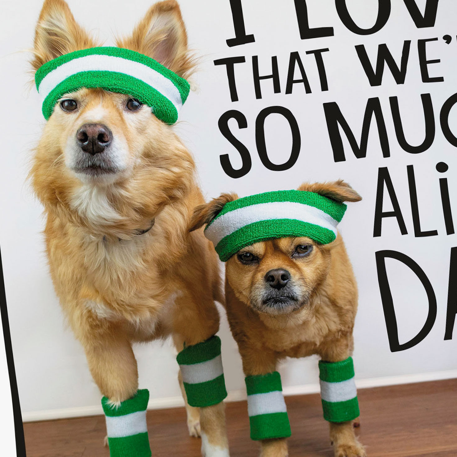 Dogs in Sweatbands Father's Day Card Card Front Detail image number 4