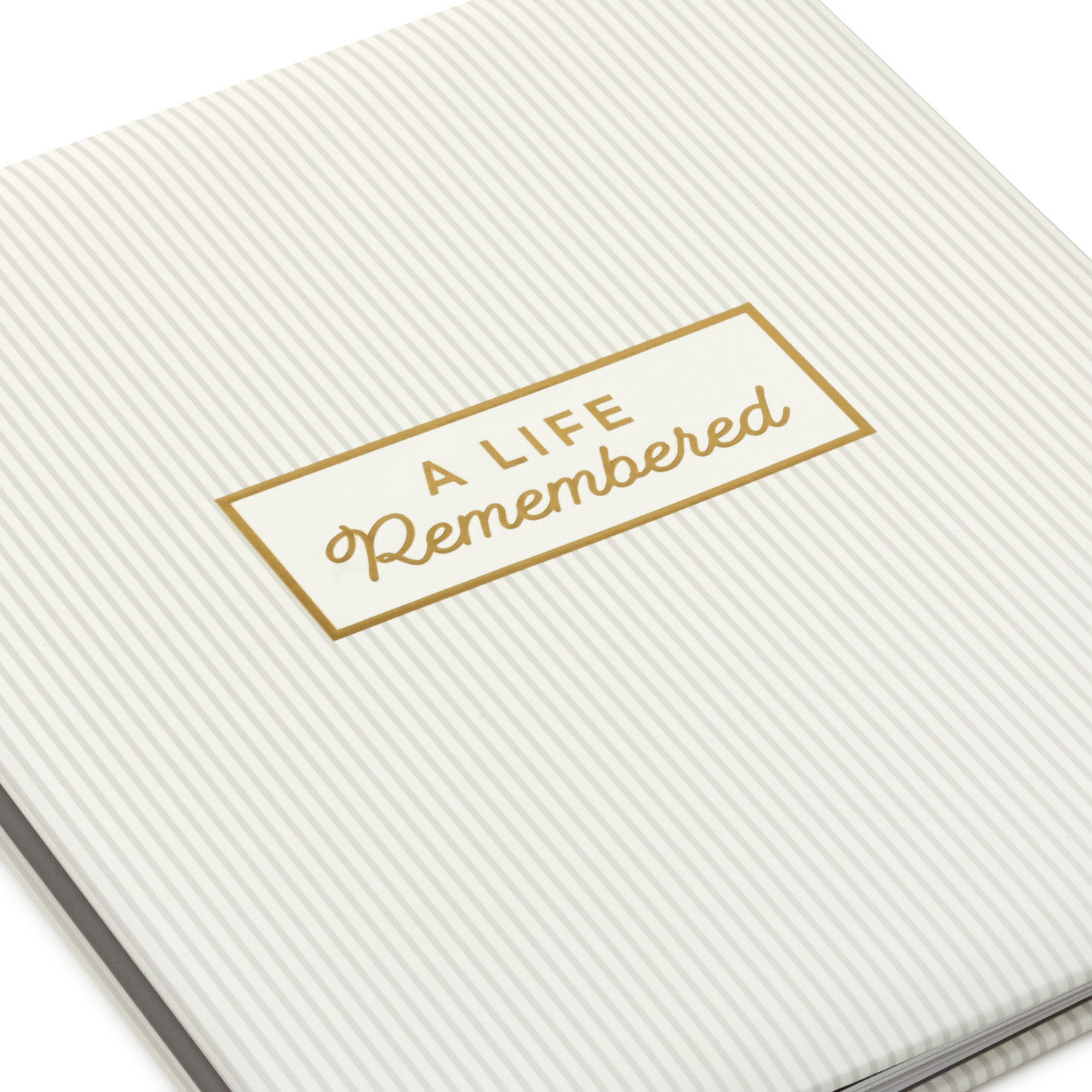 Tan Striped Postbound Memorial Photo Album closeup view image number 5