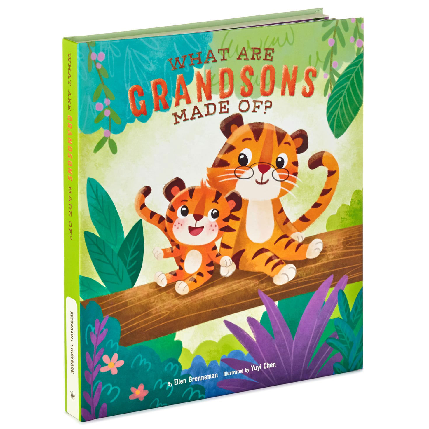 What Are Grandsons Made Of? Recordable Storybook for only USD 34.99 | Hallmark