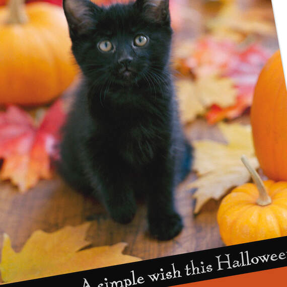 You Mean So Much Black Kitten and Pumpkins Halloween Card, , large image number 4