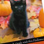 You Mean So Much Black Kitten and Pumpkins Halloween Card, , large image number 4
