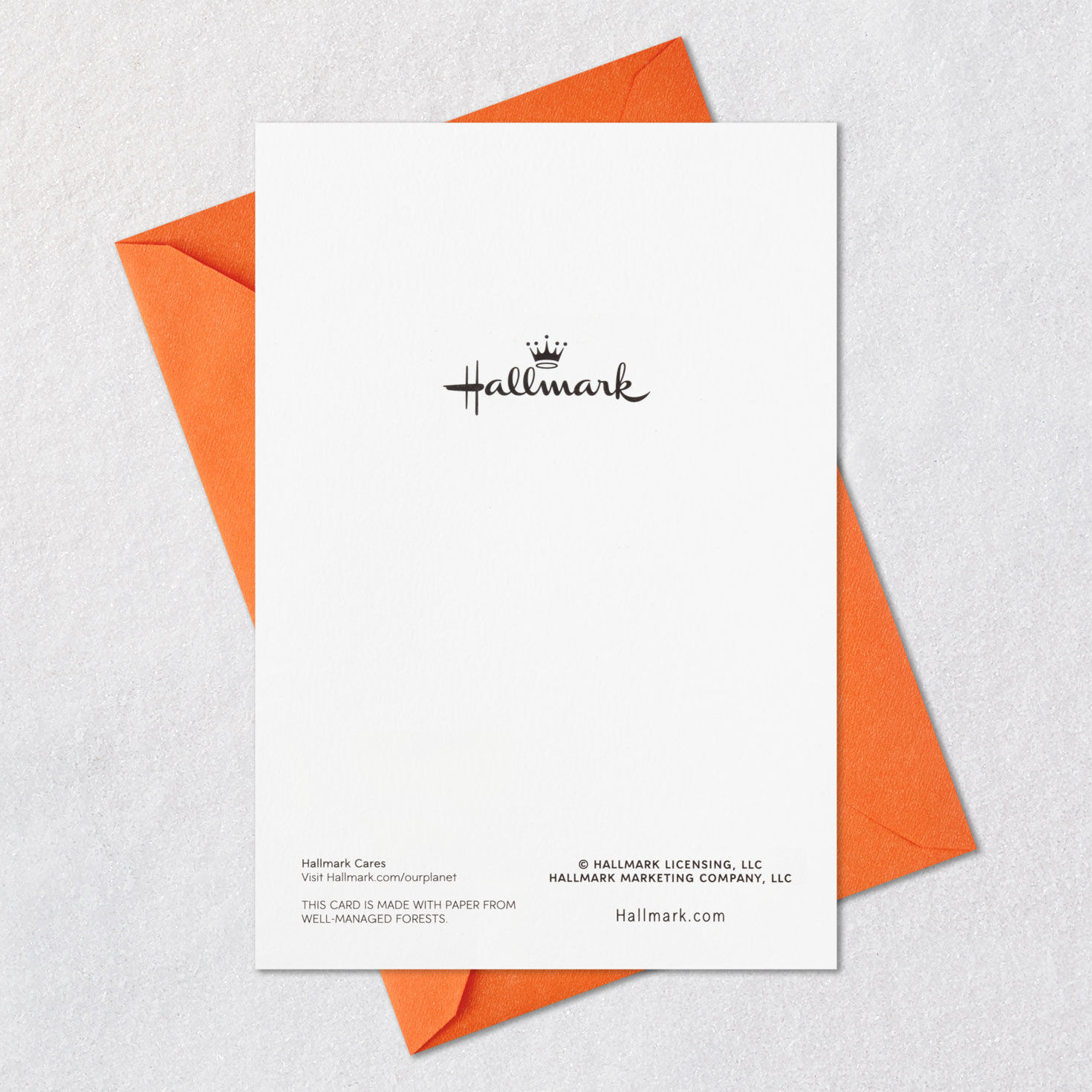 Stylish Witch Accessories Halloween Cards, Pack of 6, , large image number 6