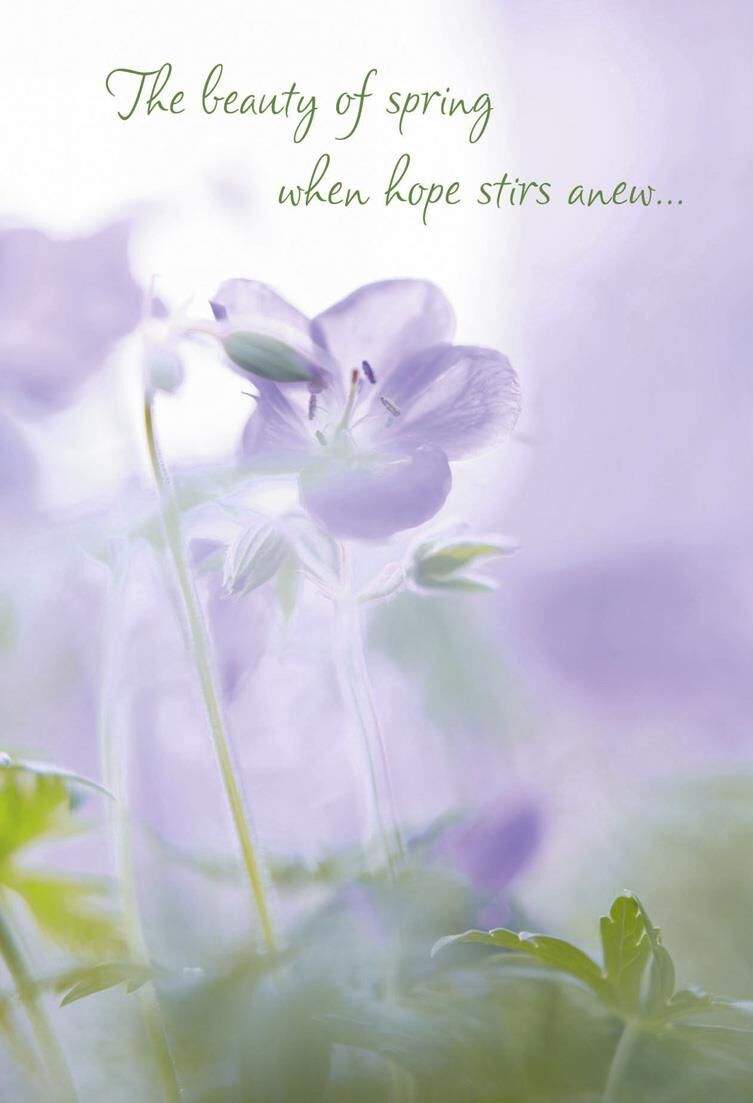 Purple Flowers Easter Cards, Pack of 6