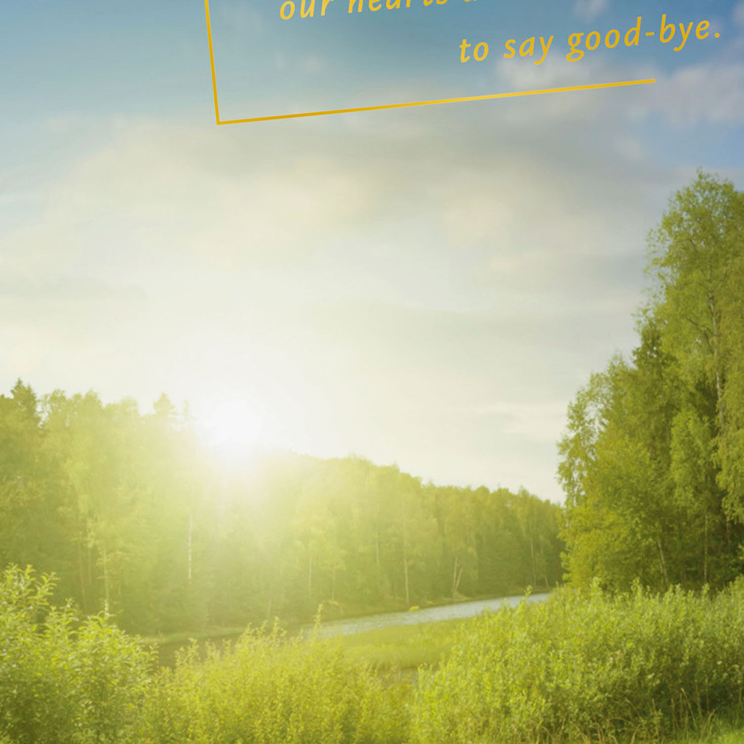 Sun Over Green Meadow Sympathy Card for Long Illness Card Front Detail image number 4