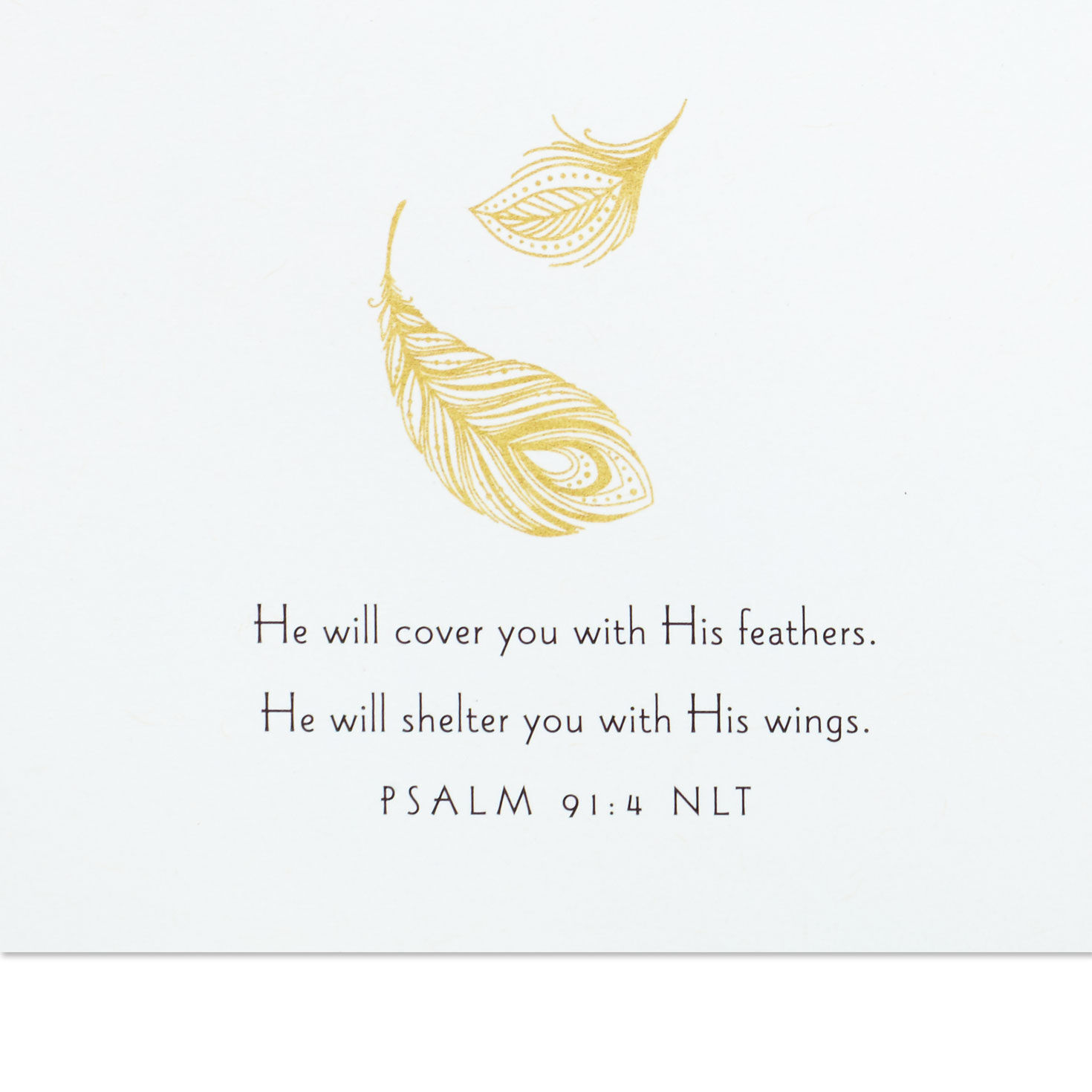 Gold Feathers in Frame Christian Sympathy Card scripture image number 3
