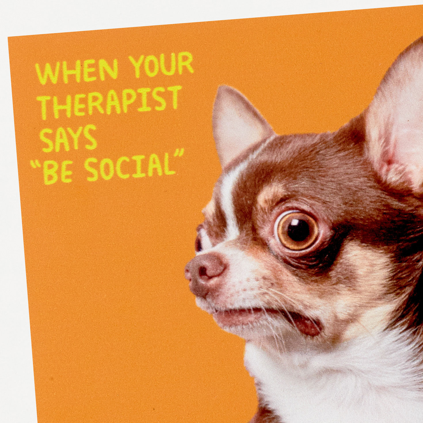 Scared Chihuahua Photo Funny Coaster, , large image number 3