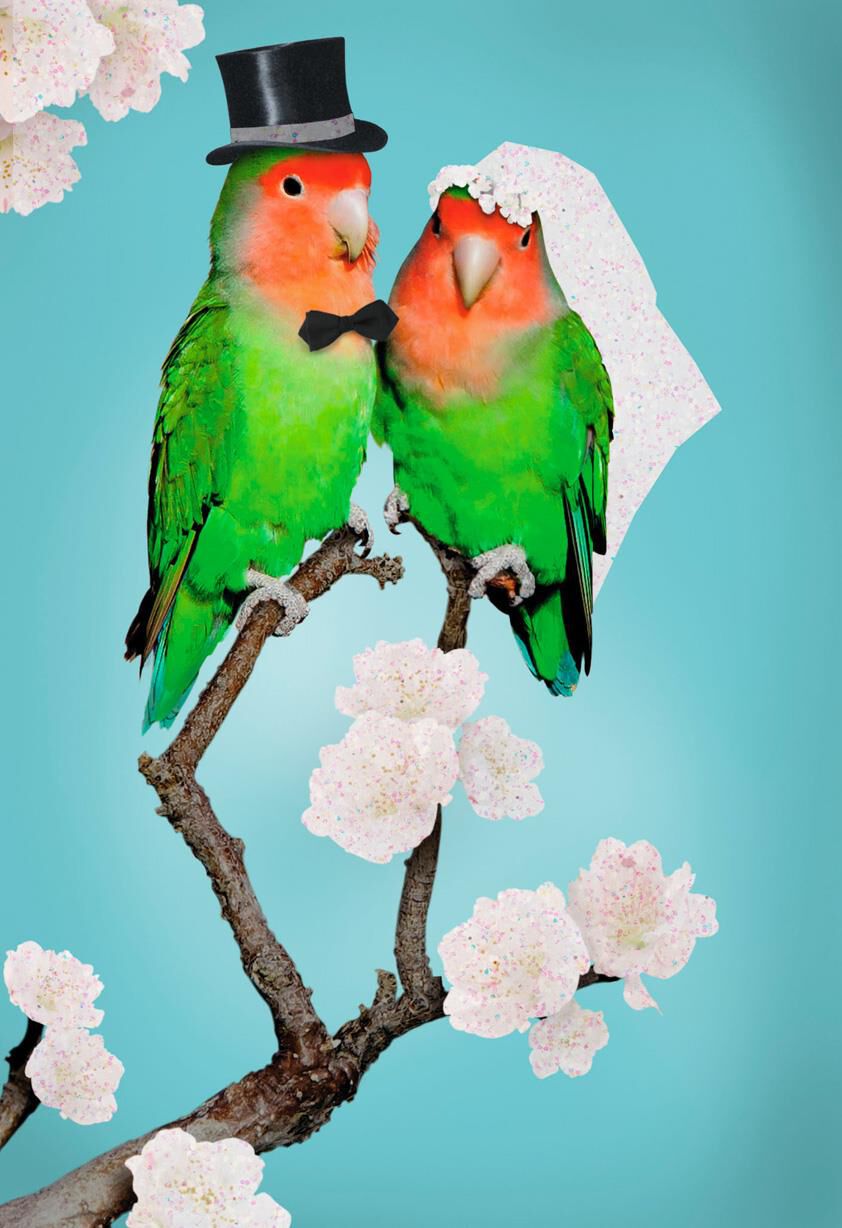 Congratulations, Lovebirds Wedding Card