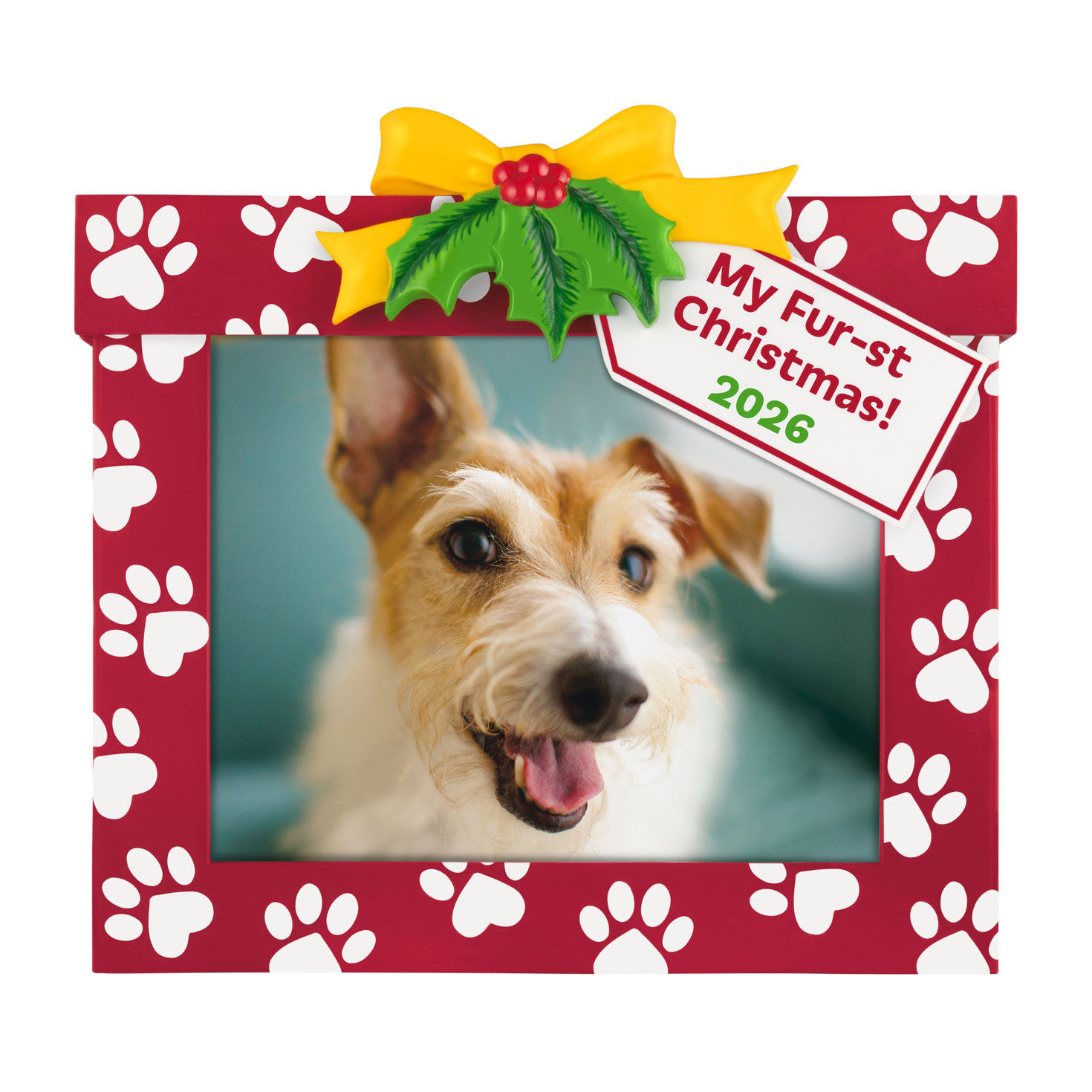 My Fur-st Christmas 2026 Photo Frame Ornament