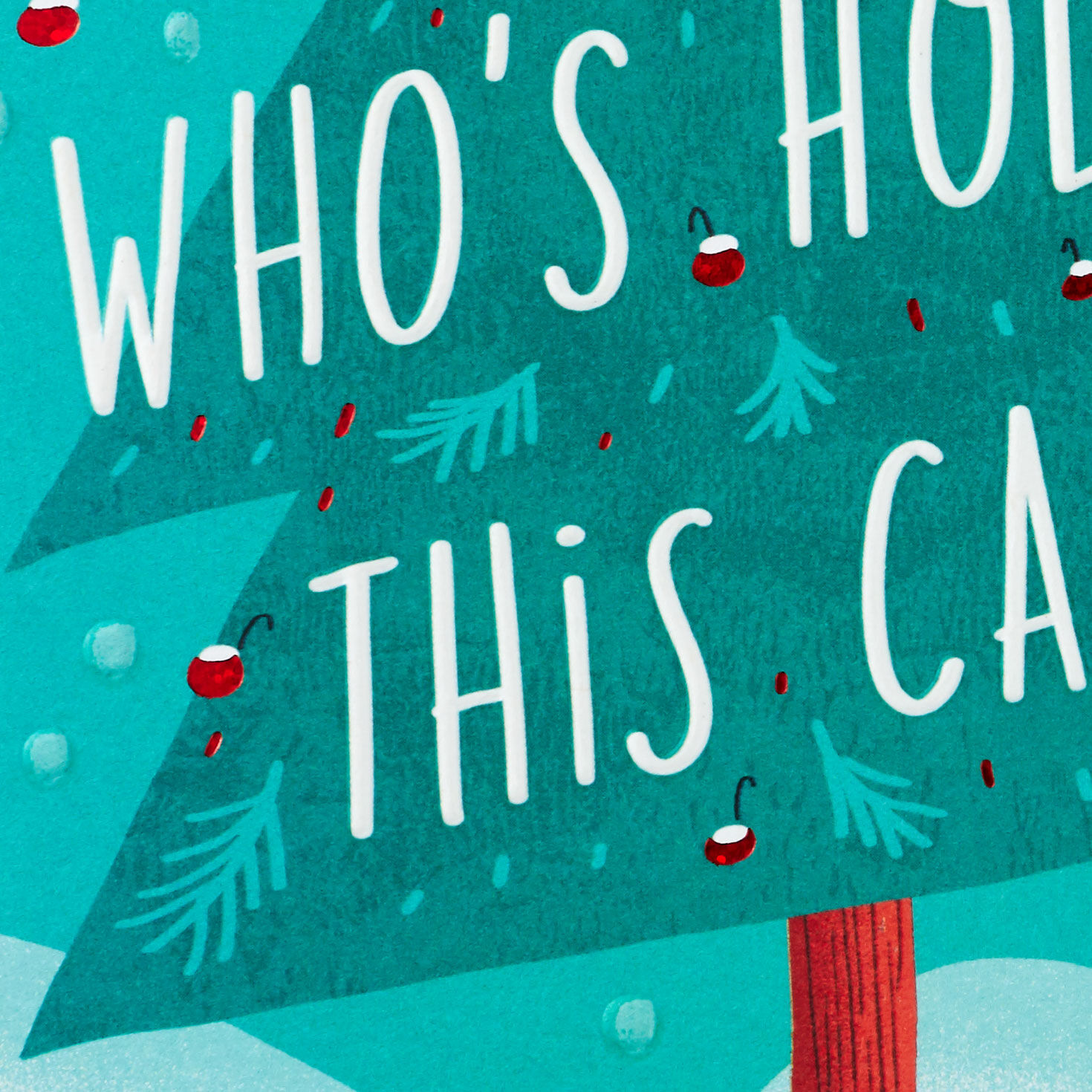 One of the Most Wonderful Grandsons Funny Christmas Card, , large image number 4