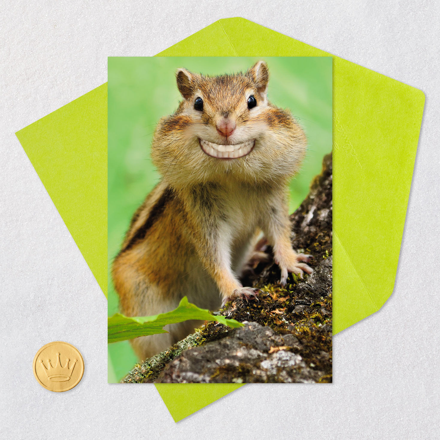 Smiling Chipmunk Funny Congrats Card Card Front with Envelope and Gold Seal image number 5