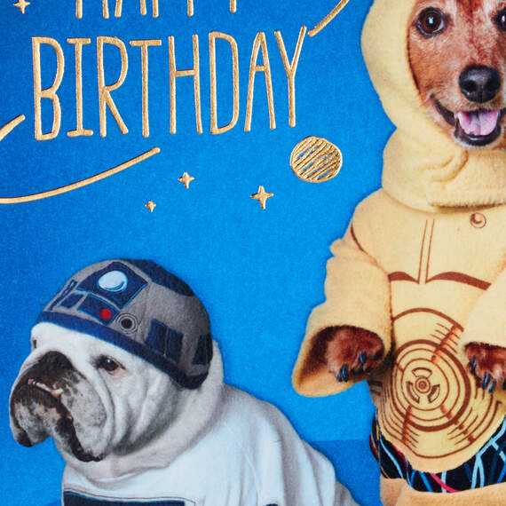Star Wars™ R2-D2™ and C-3PO™ Dogs Birthday Card, , large image number 4
