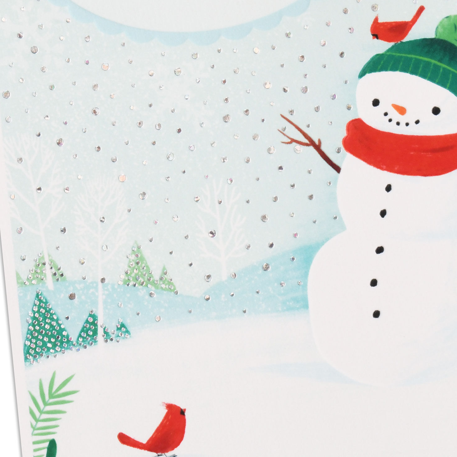 Snowman and Cardinals Aqua Holiday Card Card Cover Detail image number 4