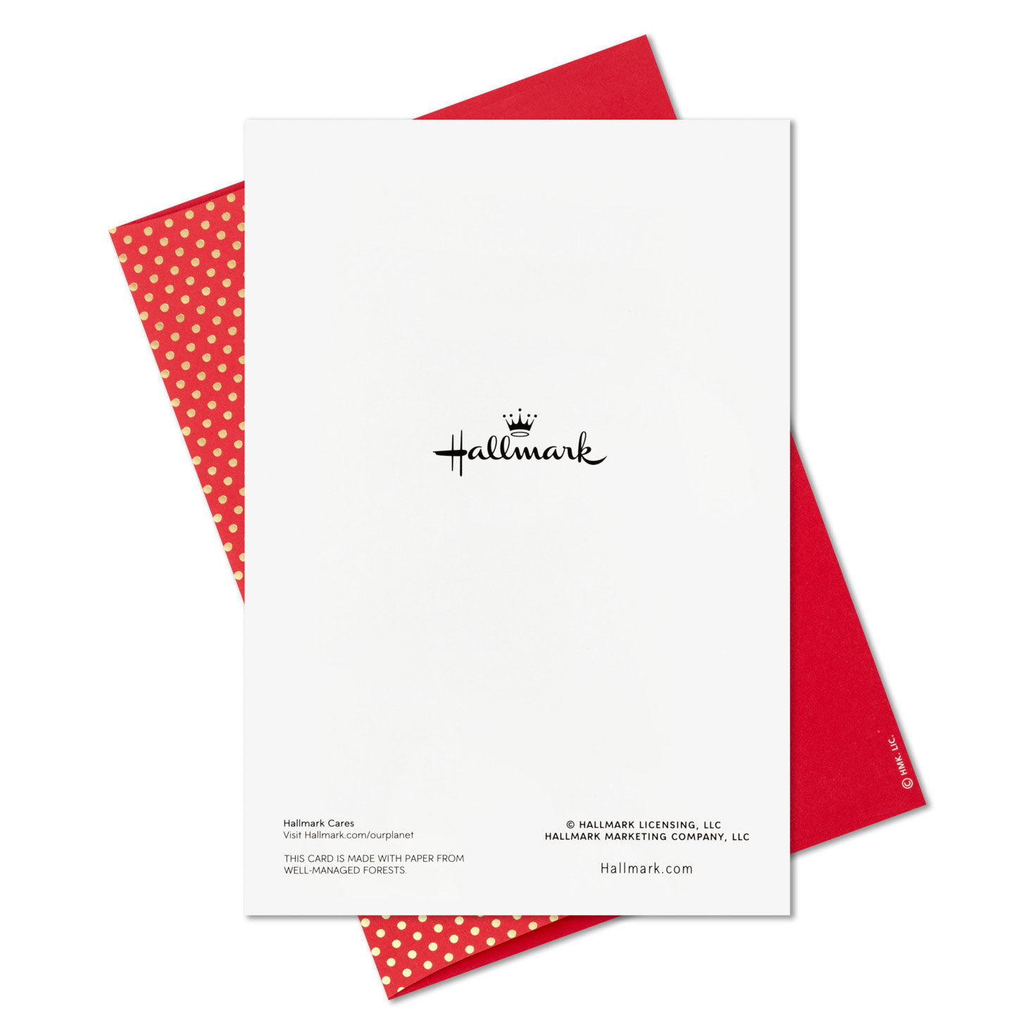 Green Foil Wreath Boxed Christmas Cards, Pack of 12, , large image number 7