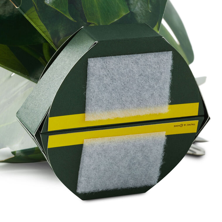 Build-a-Bouquet Monstera Pop-Up Paper Plant, Monstera Plant, large image number 6