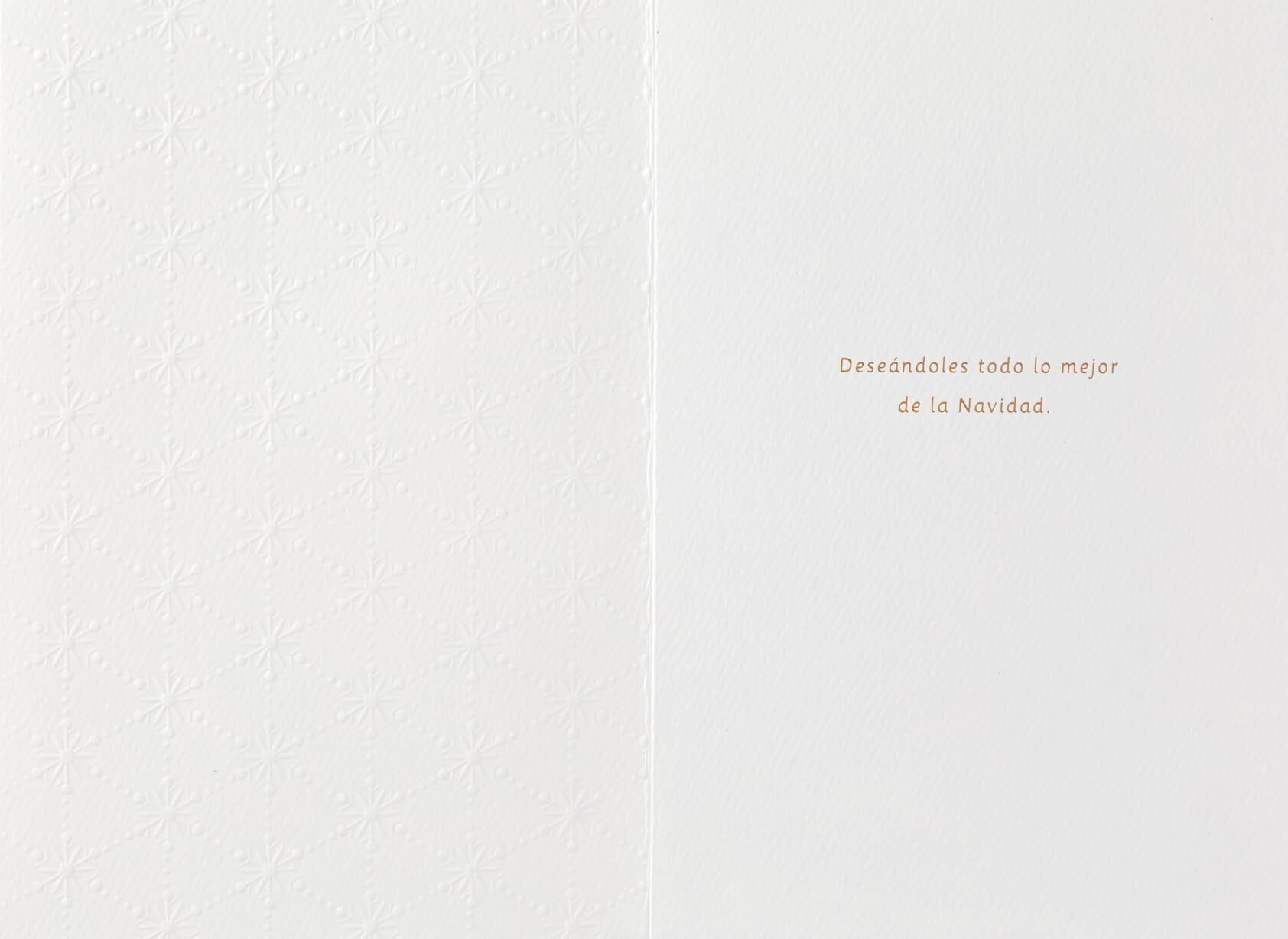 Alegría, Paz, Esperanza Spanish-Language Christmas Card