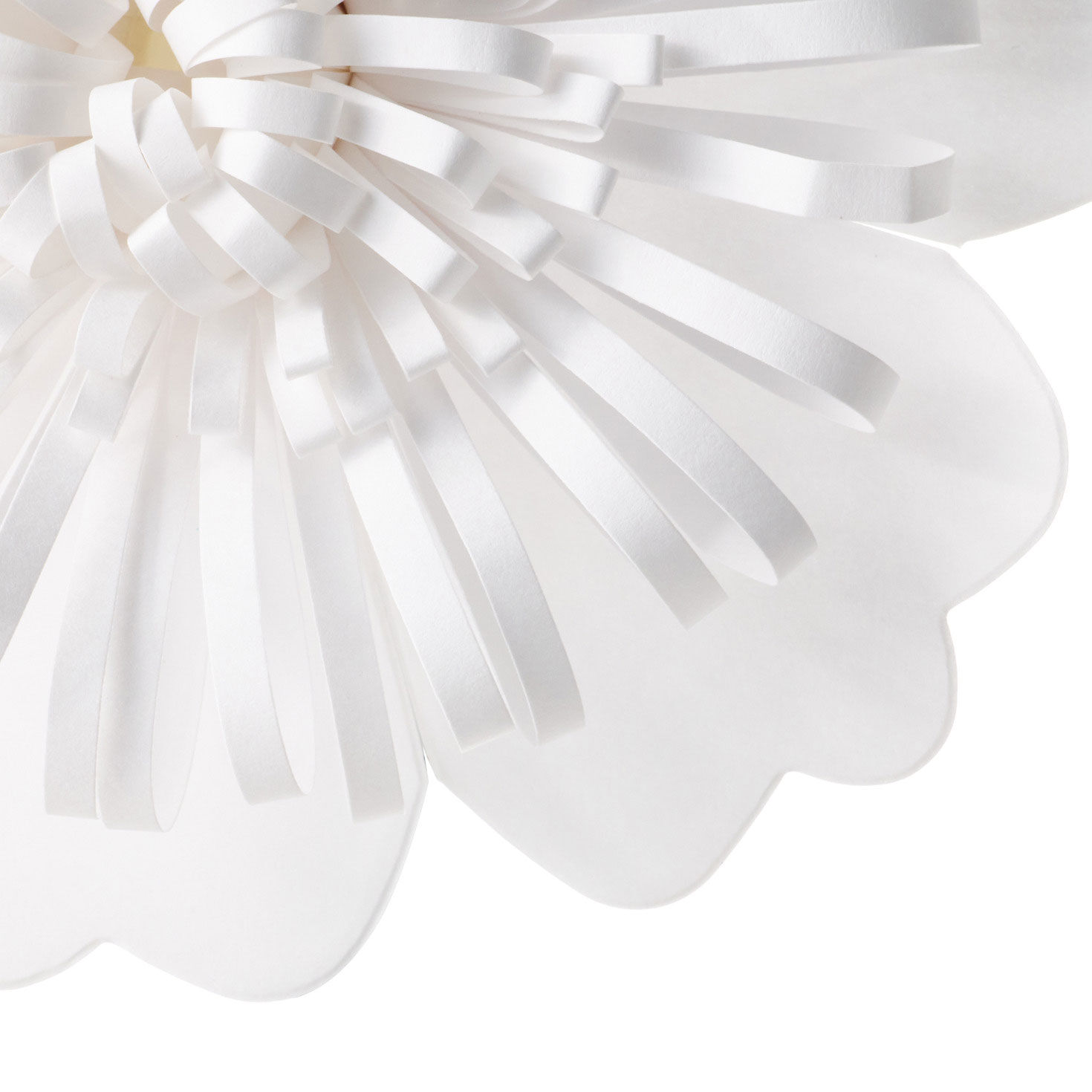 Scalloped Floral Gift Bow in Cream upclose view image number 5