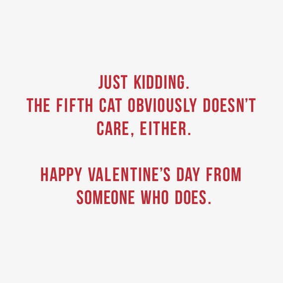 Cats Don't Care Funny Valentine's Day Card, , large image number 2
