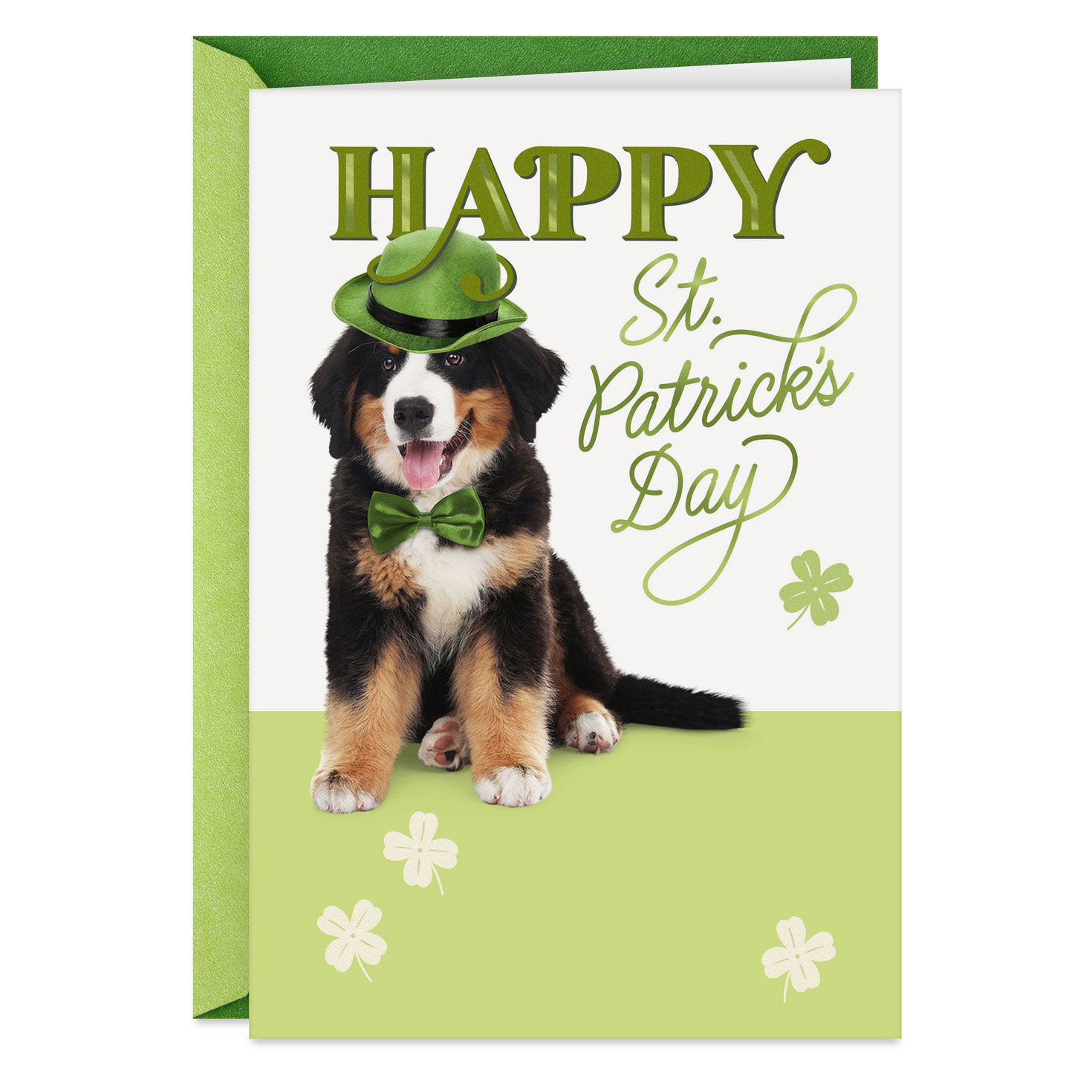 Luck, Laughter and Fun St. Patrick's Day Card