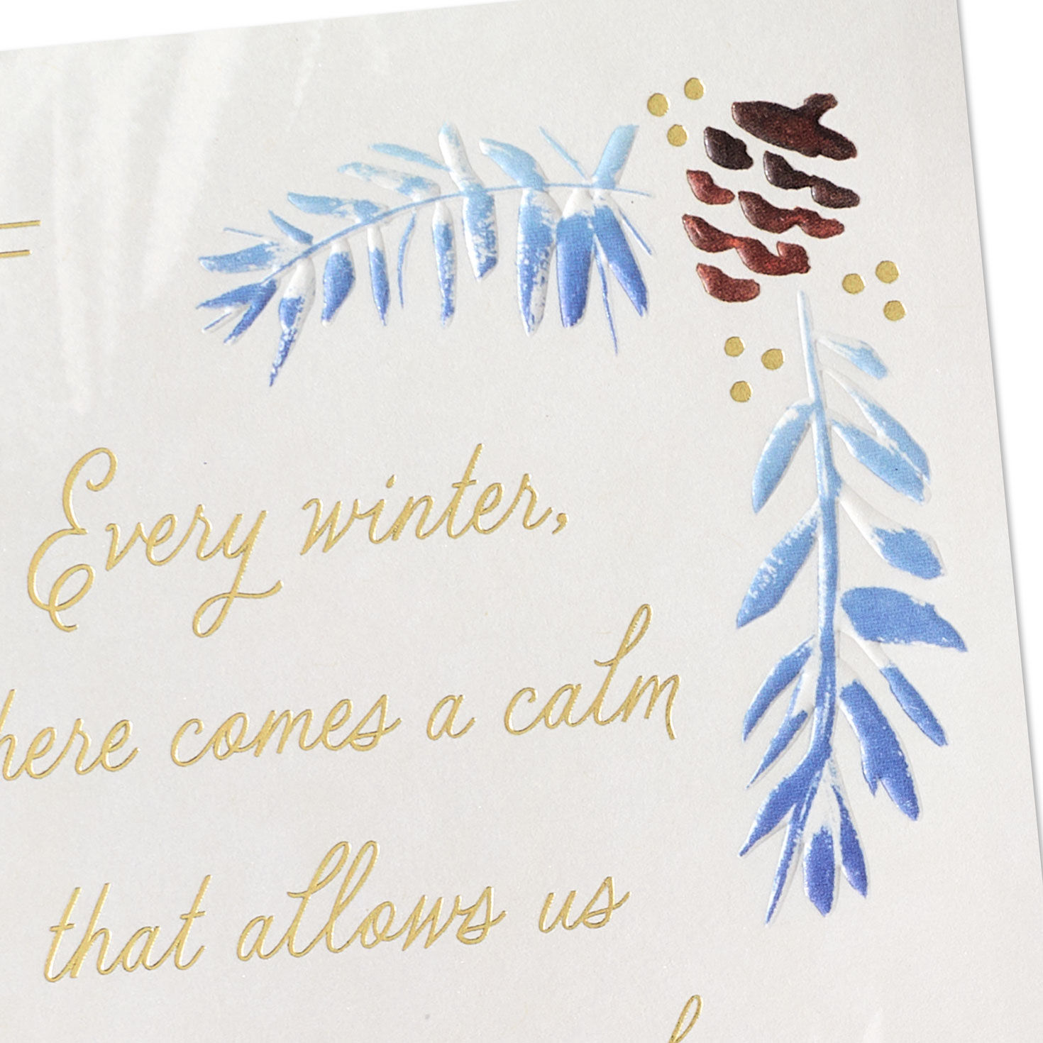 Pine Cones Difficult Time Christmas Card Card Front Detail image number 4