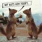 My Nuts are Yours Squirrels Funny Valentine's Day Card, , large image number 4
