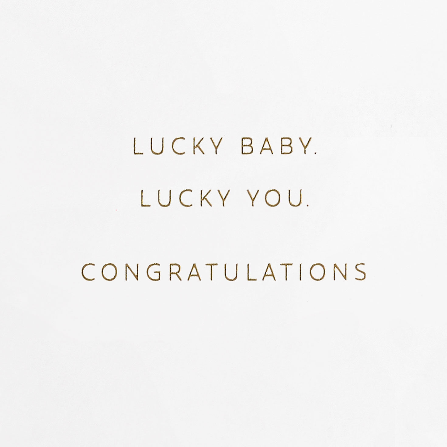 Woodland Creatures in Branches New Baby Card Sentiment image number 2