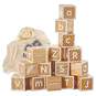 Wood Alphabet Block Set, , large image number 3