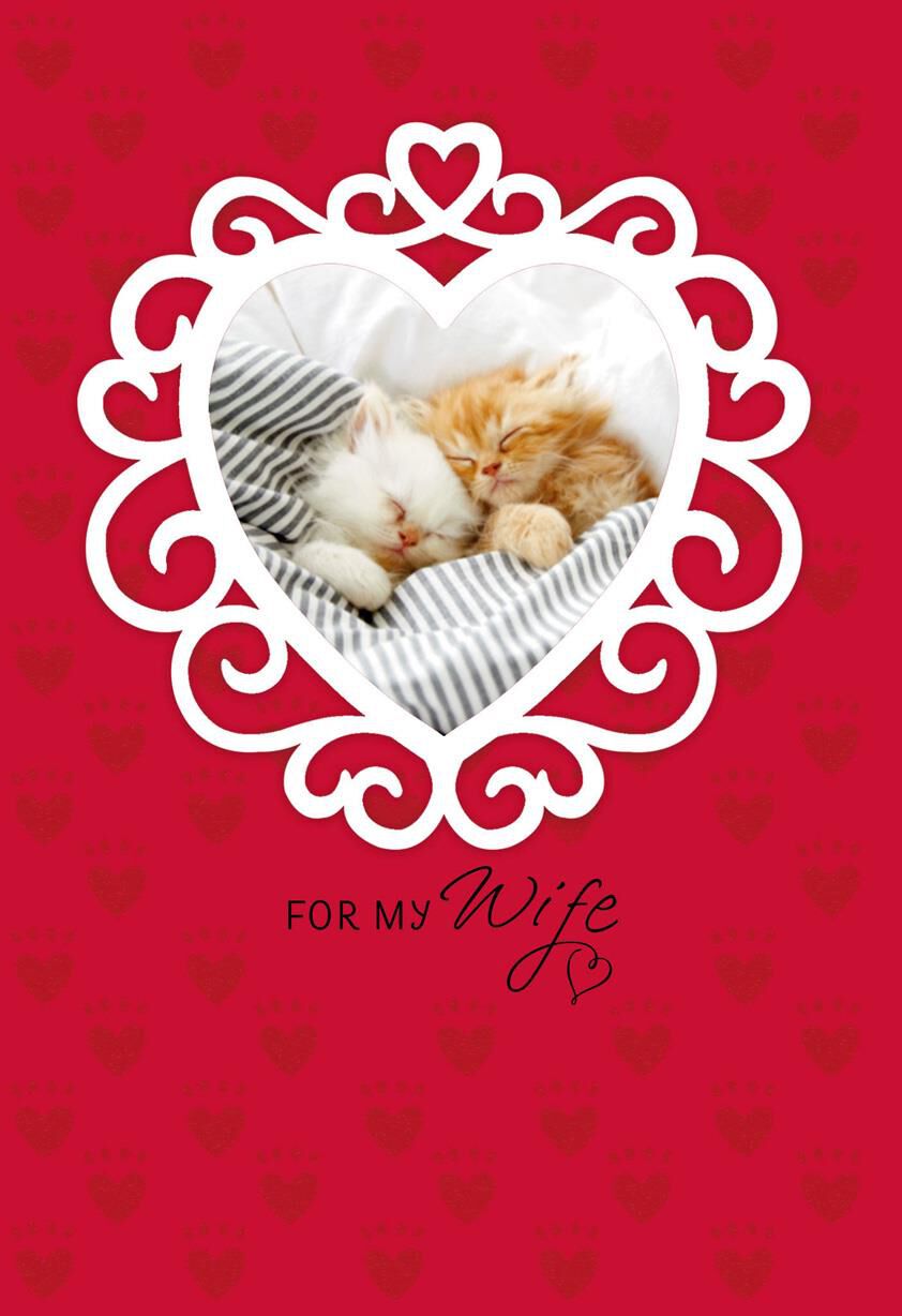 Cute Kittens Valentine's Day Card for Wife