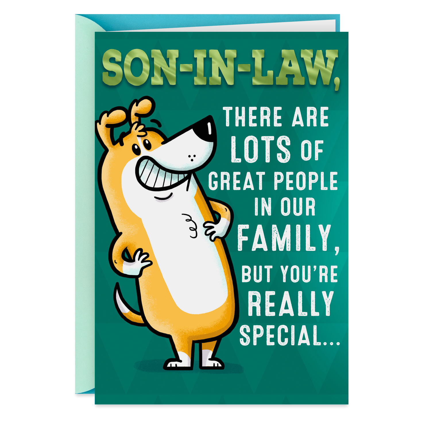 You Re Special Funny Birthday Card For Son In Law Greeting Cards