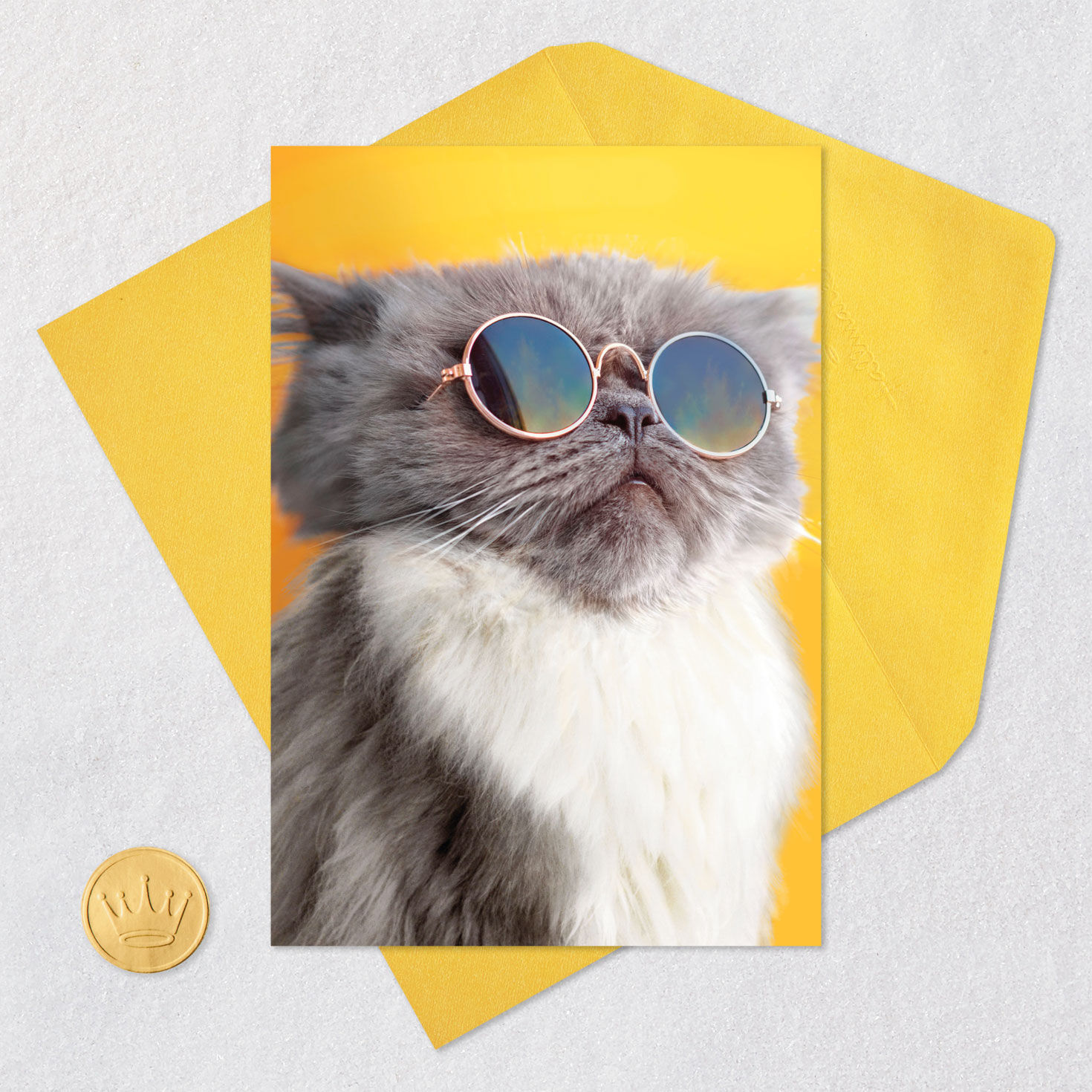 Light the Candles Funny Birthday Card Card Front with Envelope and Gold Seal image number 5