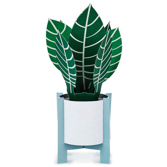 Zebra Plant Own Your Stripes 3D Pop-Up Thinking of You Card, , large image number 2