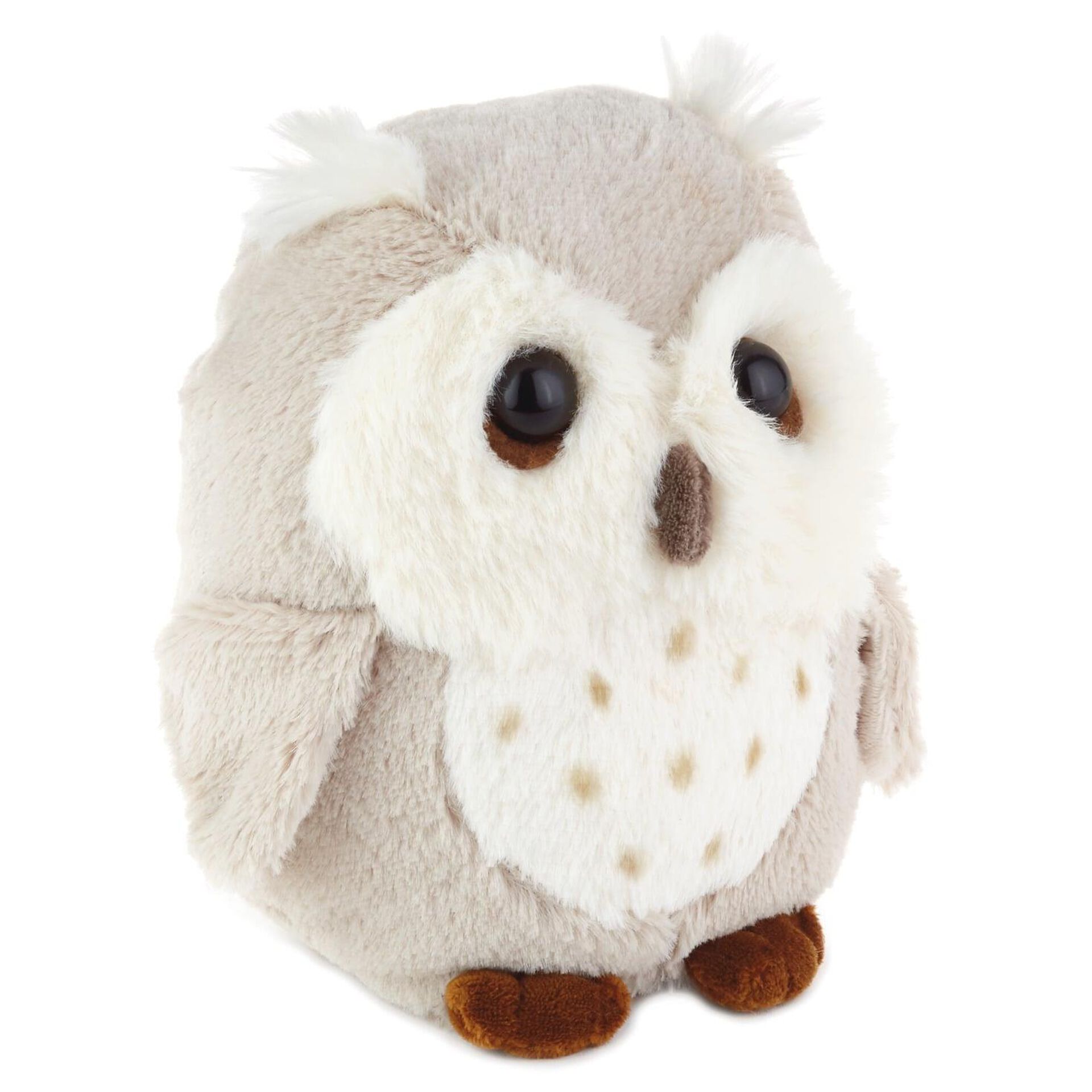 stuffed owl for sale