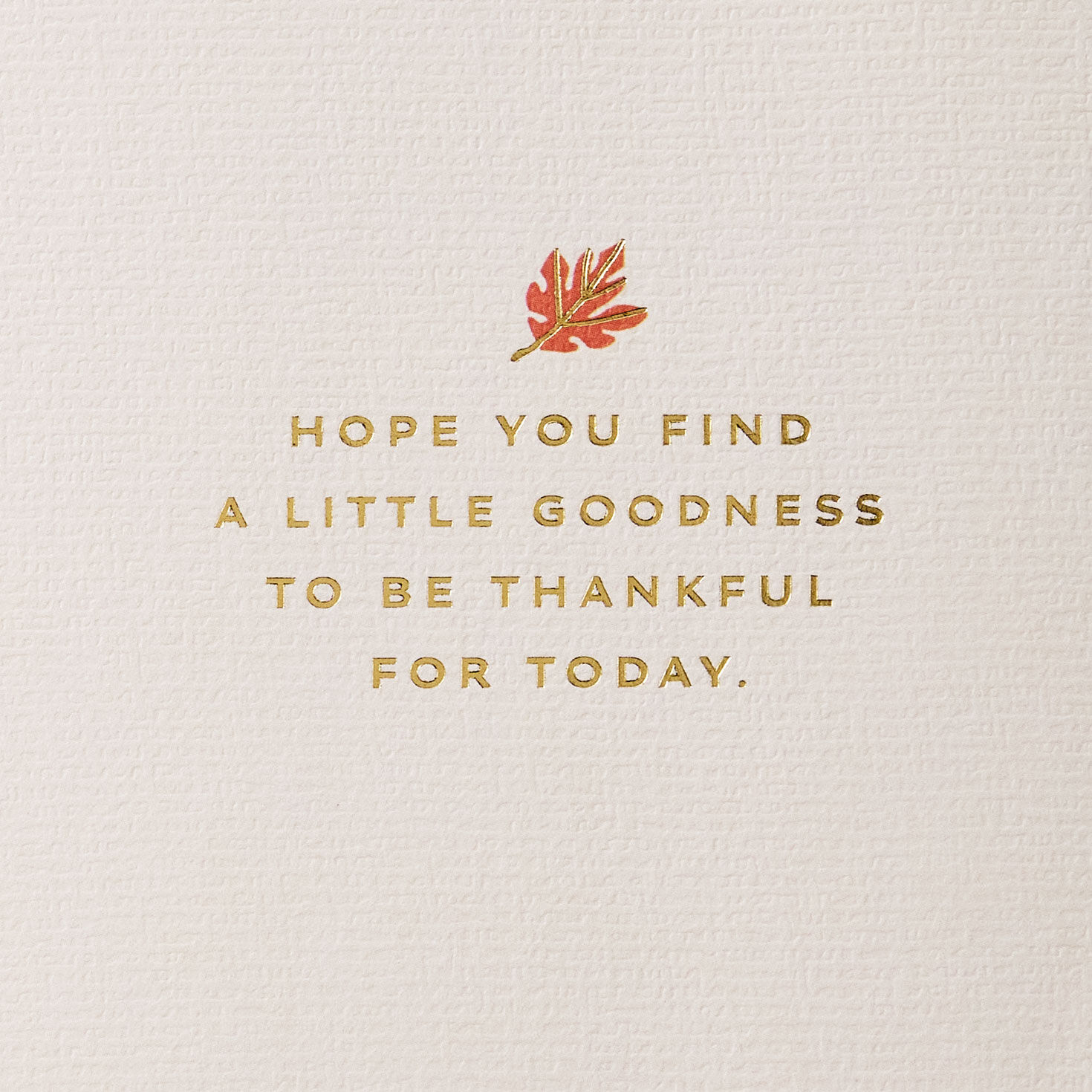 Fall Leaves Happy Thanksgiving Card Sentiment image number 2