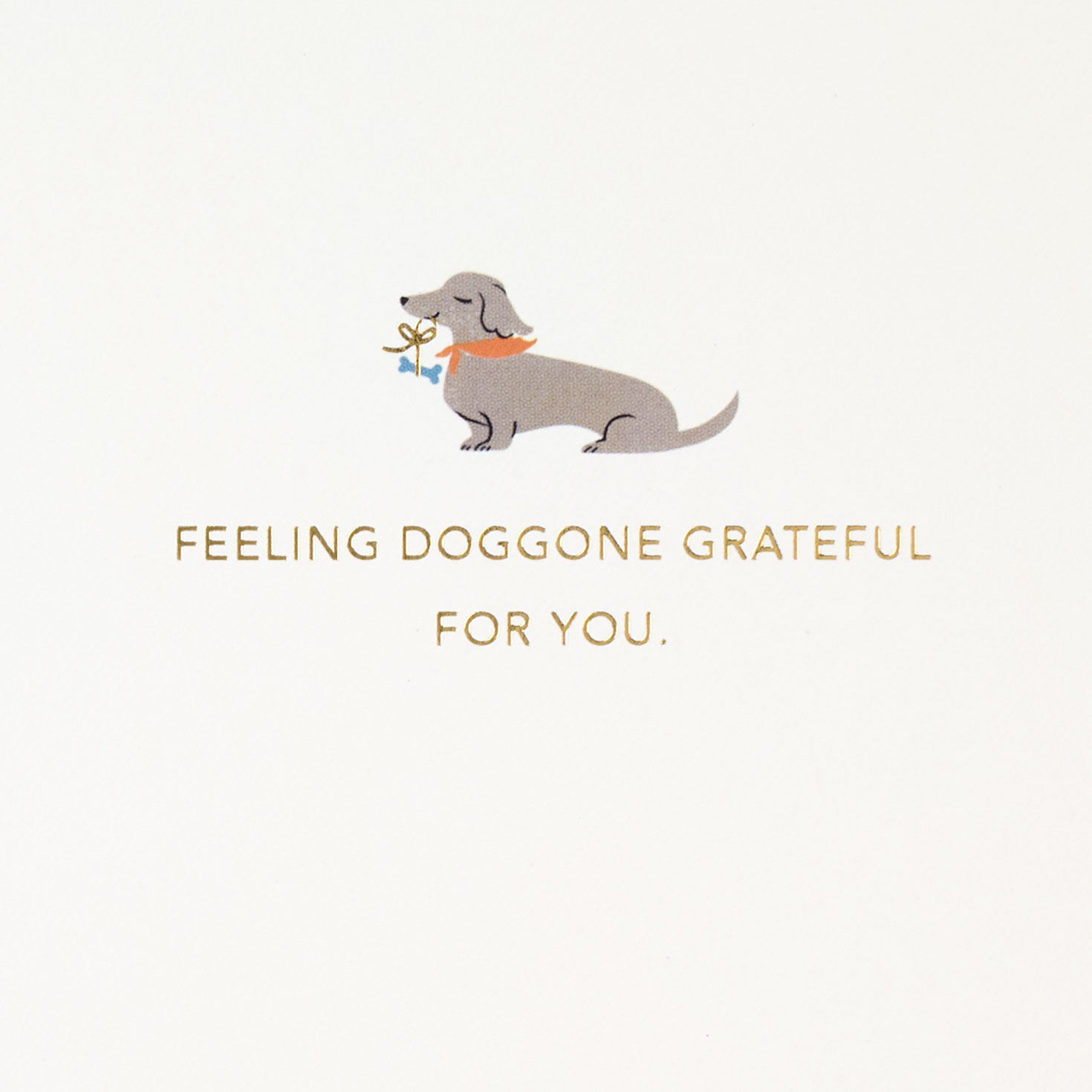 Dogs With Toys Father's Day Card Sentiment image number 2